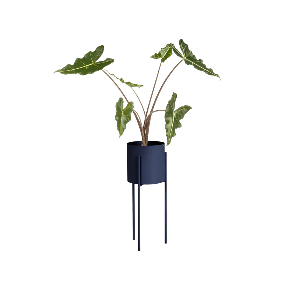 Black Maki Plant Pot with a tall and slender silhouette