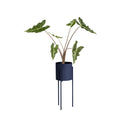 Black Maki Plant Pot with a tall and slender silhouette