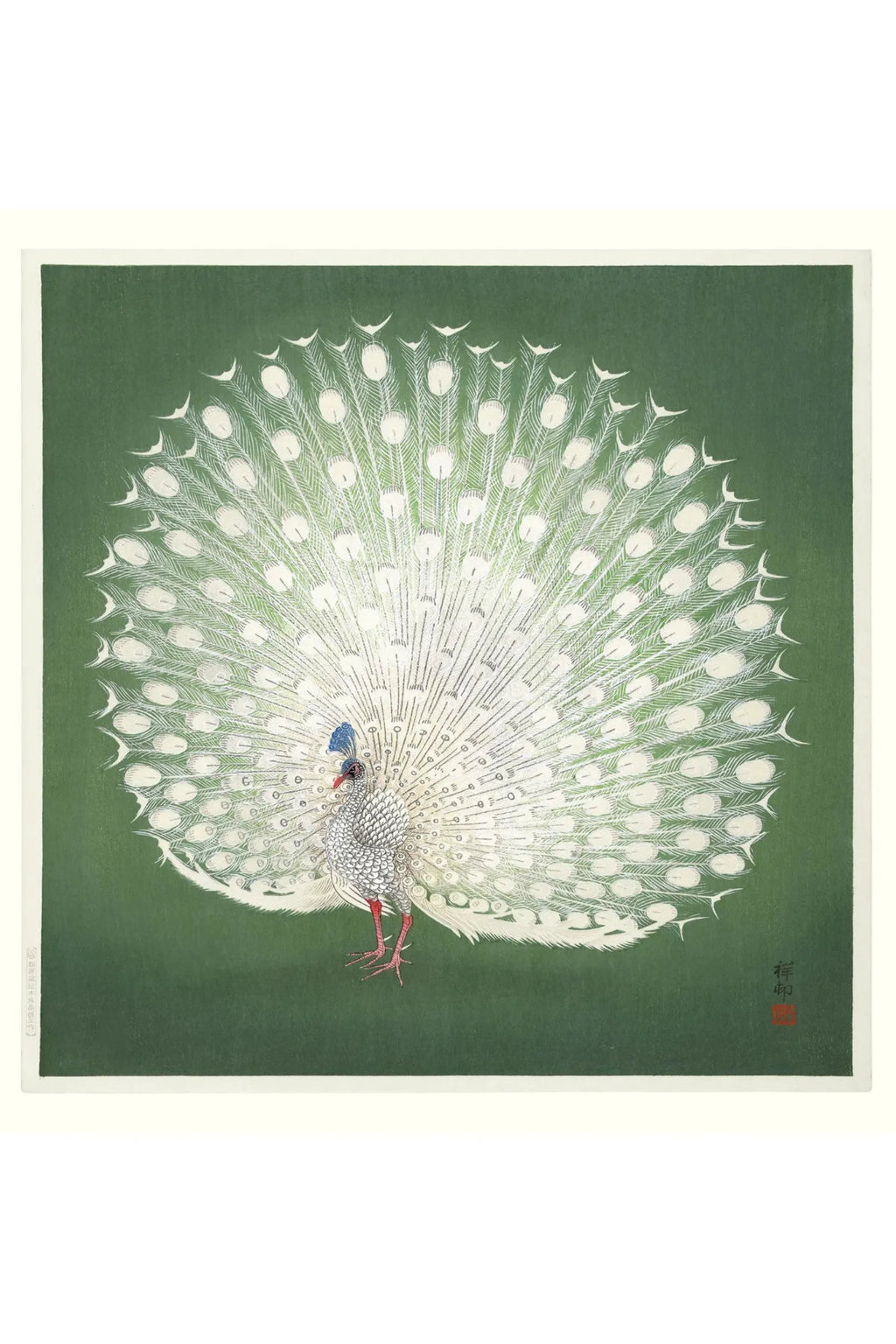 Peacock on Green - THAT COOL LIVING