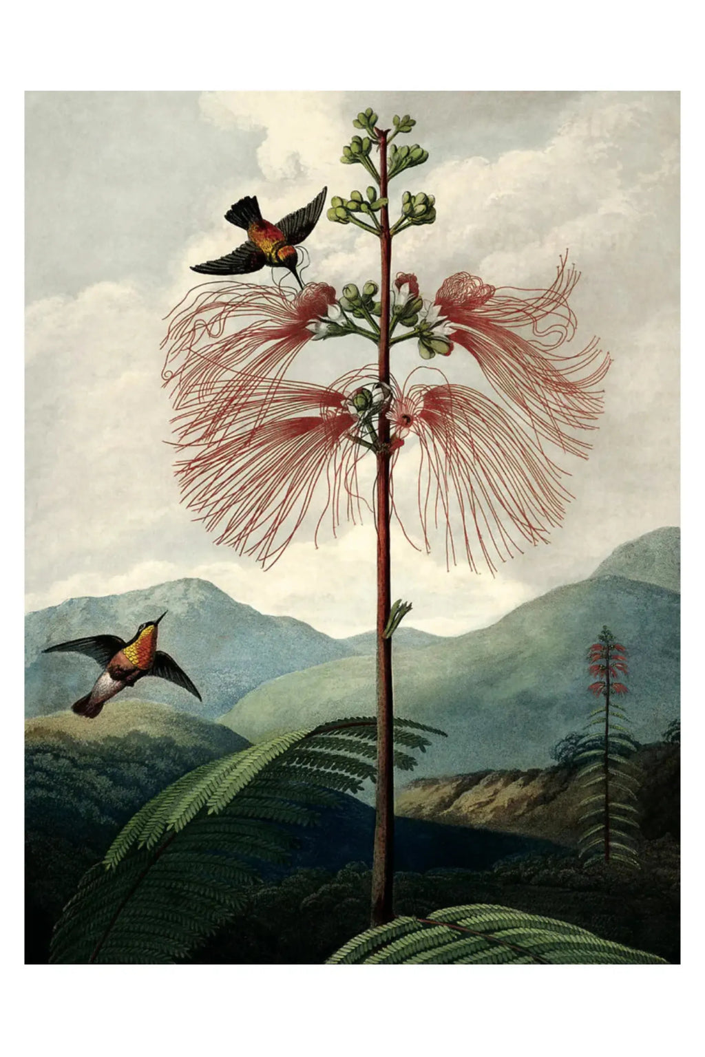 The Tree of Flowers - Art Print - THAT COOL LIVING