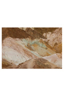 Earth’s Palette - THAT COOL LIVING