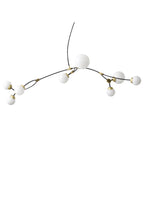 Ivy 8 Pendant Lamp - THAT COOL LIVING