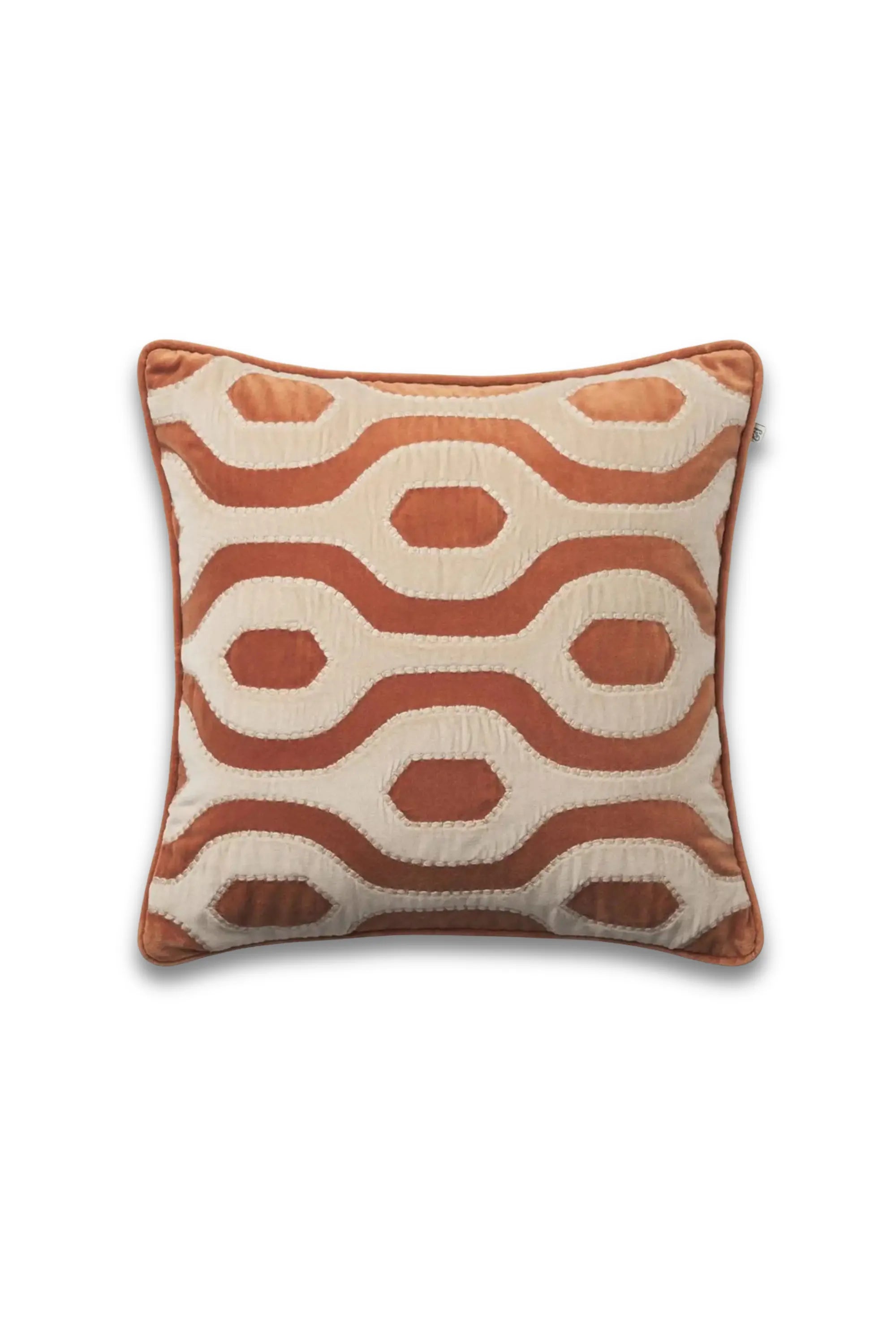 Varanasi Velvet Throw Pillow