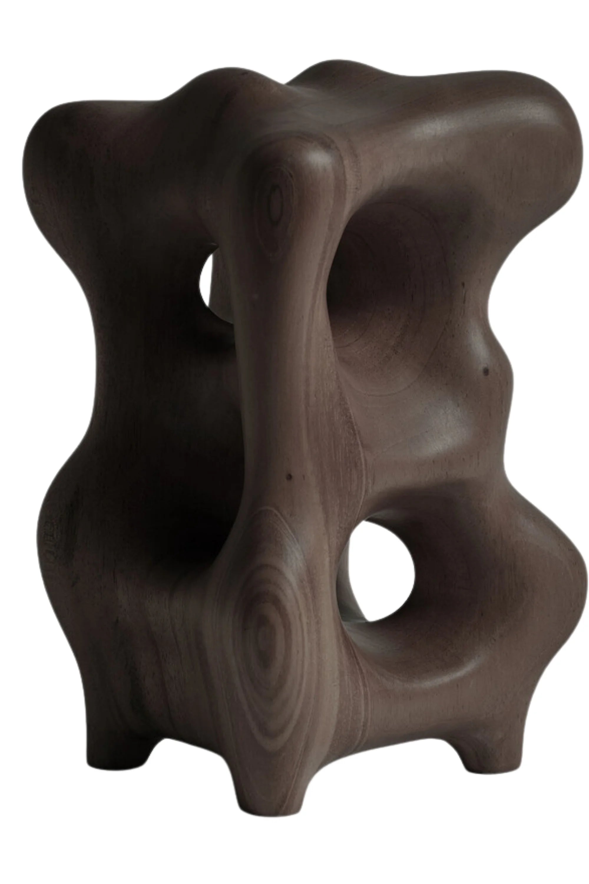 Organic Sculpture