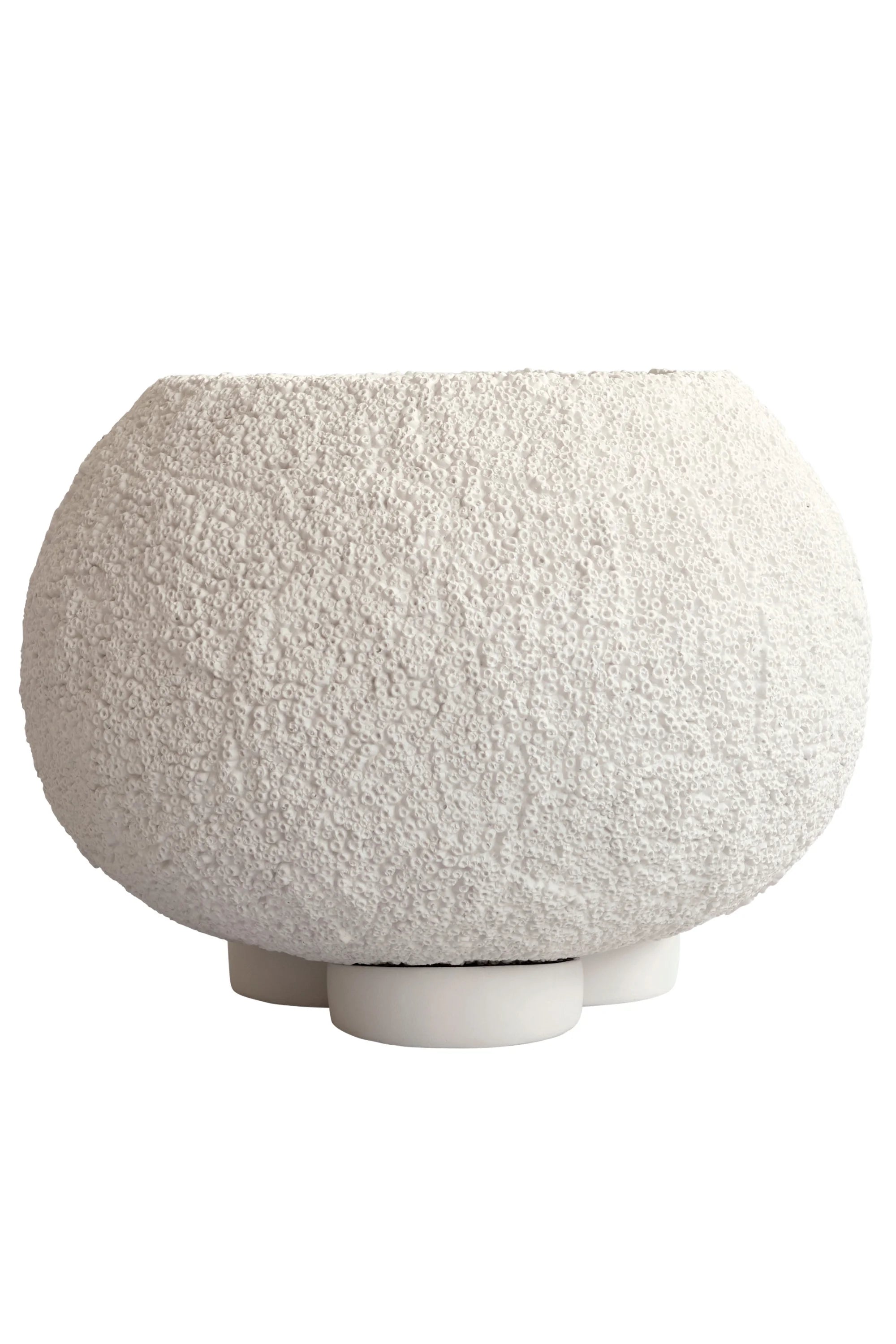 Urchin Planter - THAT COOL LIVING