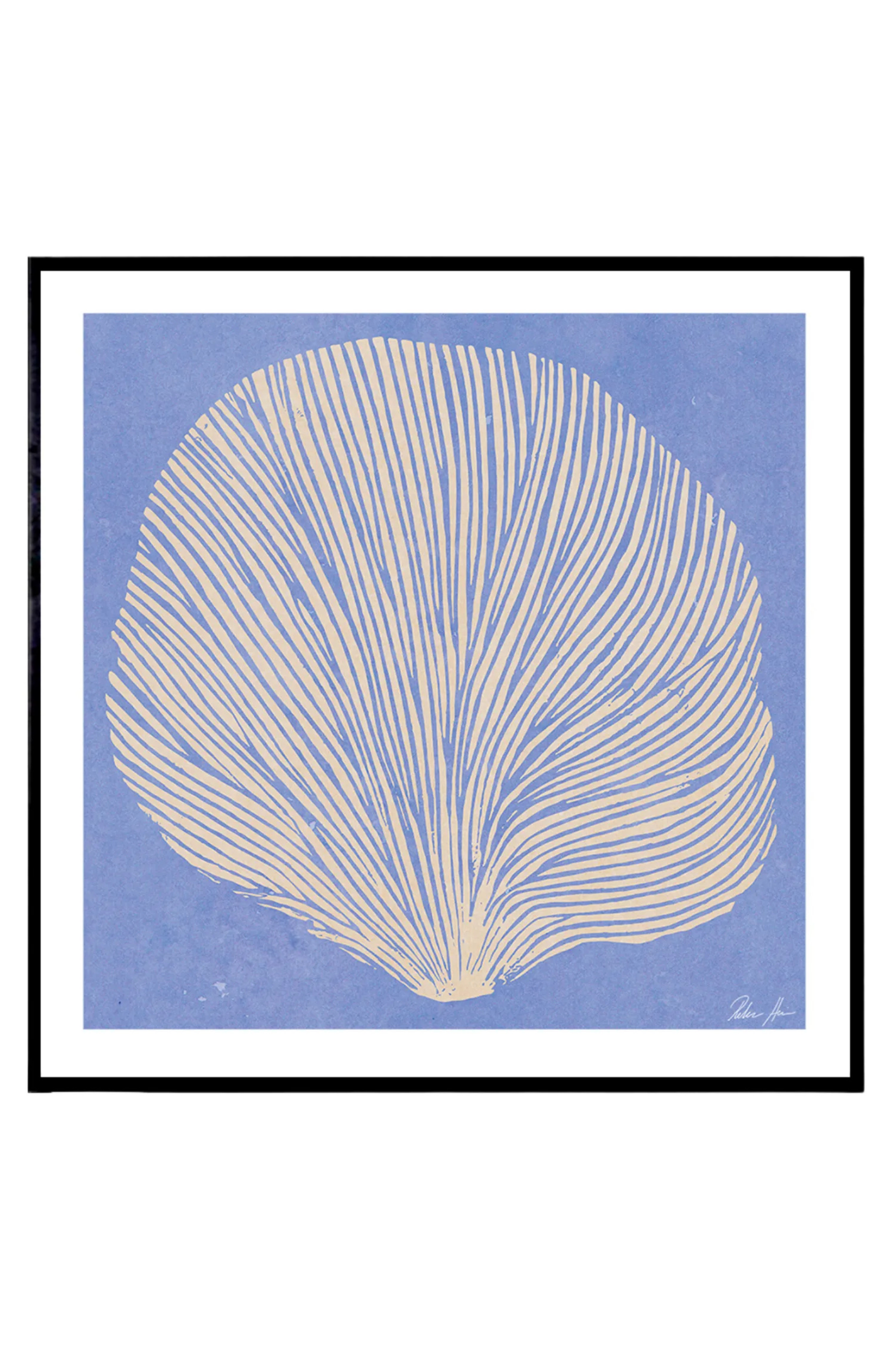 Sea Lavender