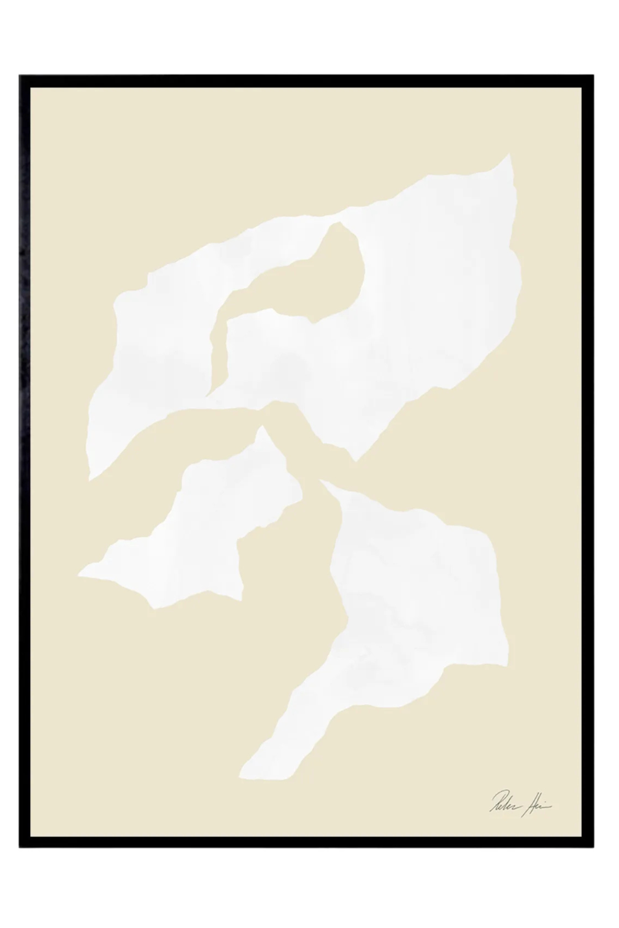 Shadow no. 03