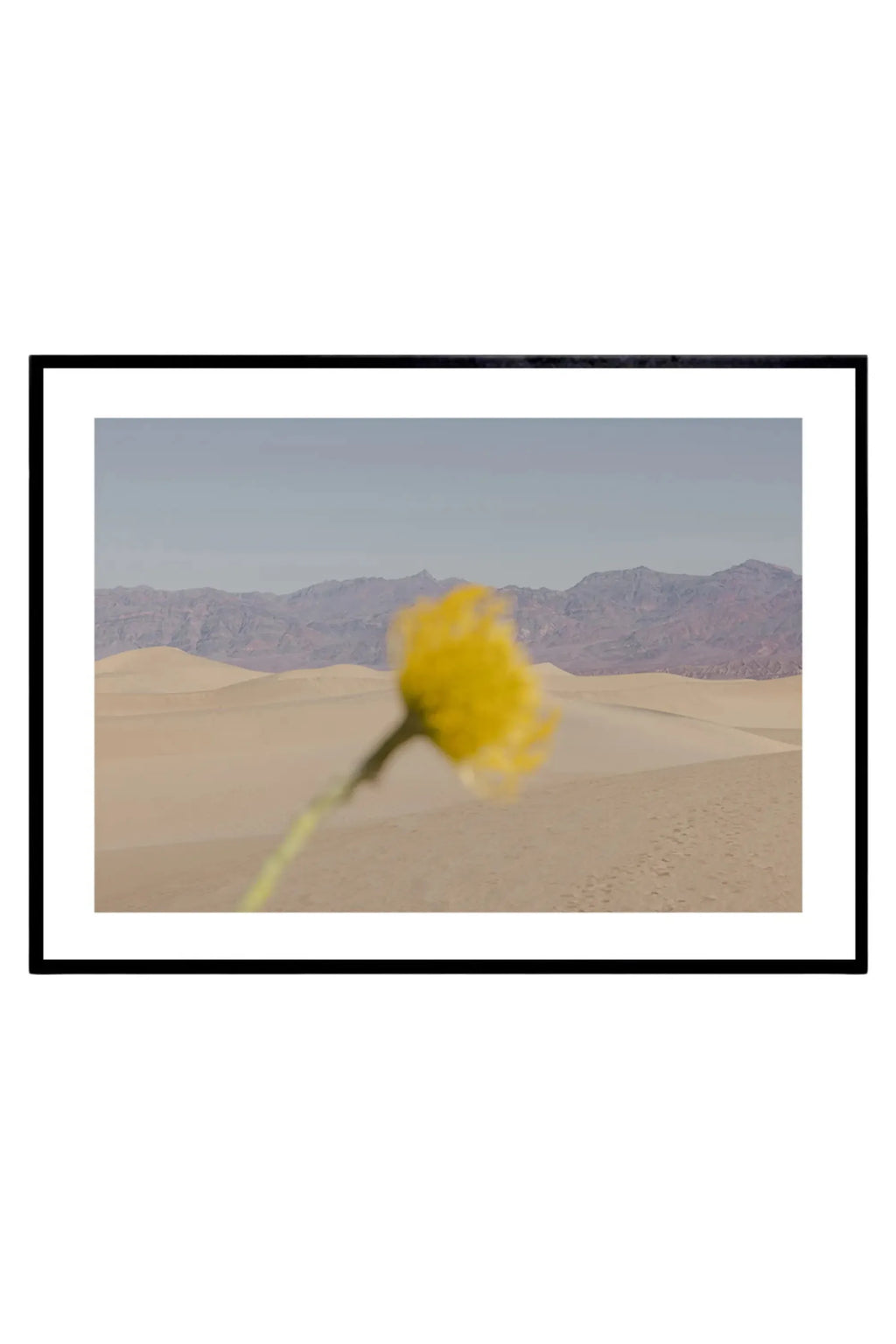 Desert Mirage - Art Print - THAT COOL LIVING