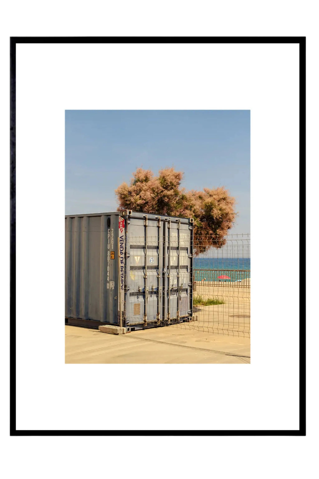 The Poster Club The Hidden Tree, a contemporary urban photography print capturing a muted grey-blue shipping container on sandy ground, partially revealing a tree with dusty pink-orange foliage against a clear blue sky and deep blue ocean. Framed in a sleek black frame, this modern coastal art print offers an intriguing industrial chic aesthetic for living rooms, home offices, or gallery walls.