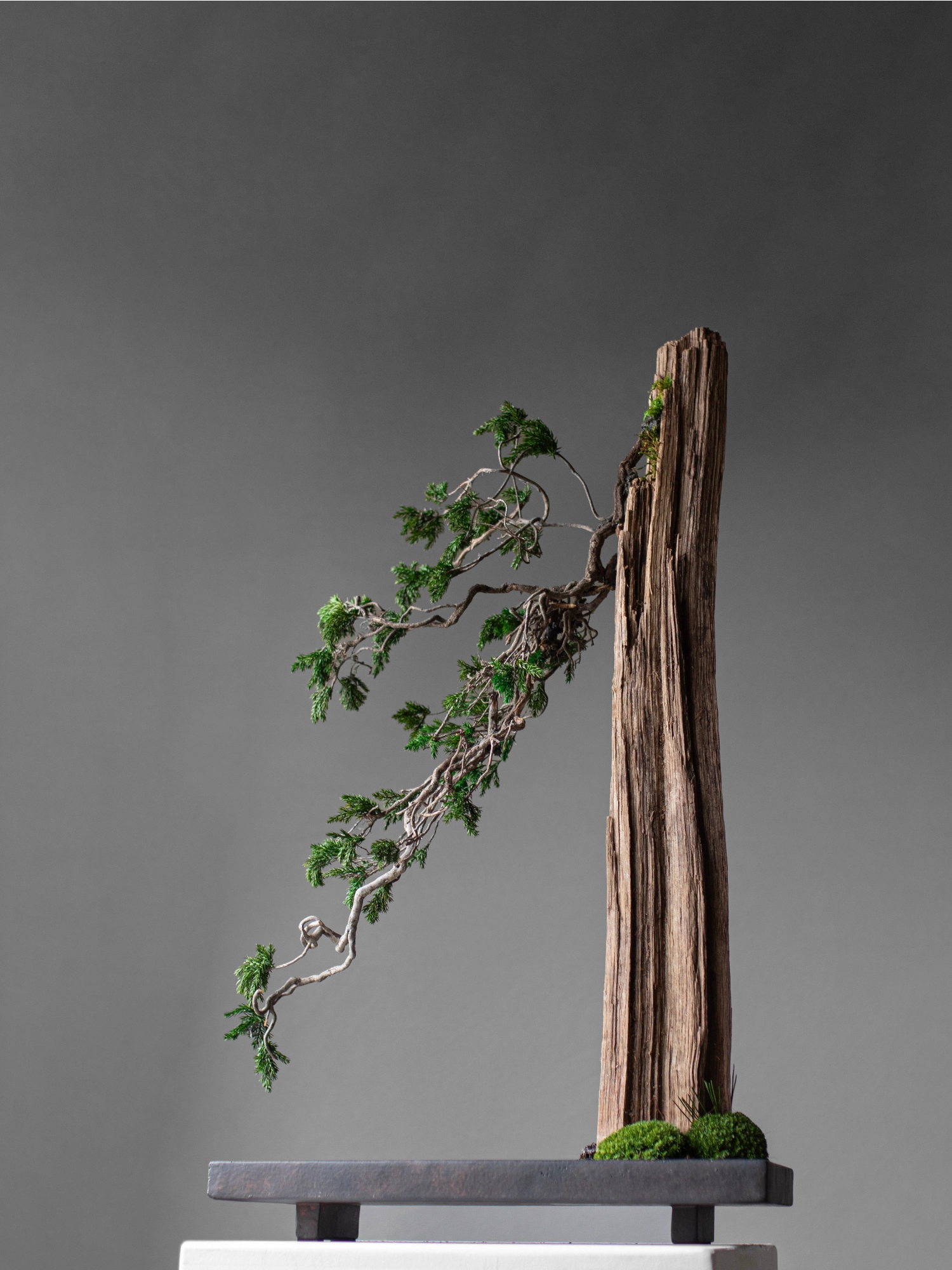 Oka Tray - Coffe by 101 CPH - THAT COOL LIVING