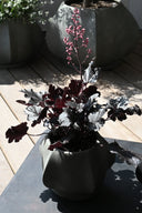 Arket Planter - THAT COOL LIVING