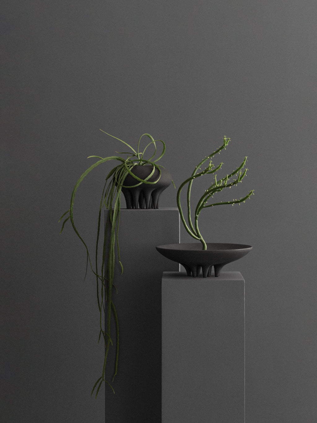 101 CPH Medusa Tray in dark matte ceramic, displaying a unique organic form with sculptural feet, accompanied by another matching planter, styled on grey pedestals. A modern luxury home decor piece.