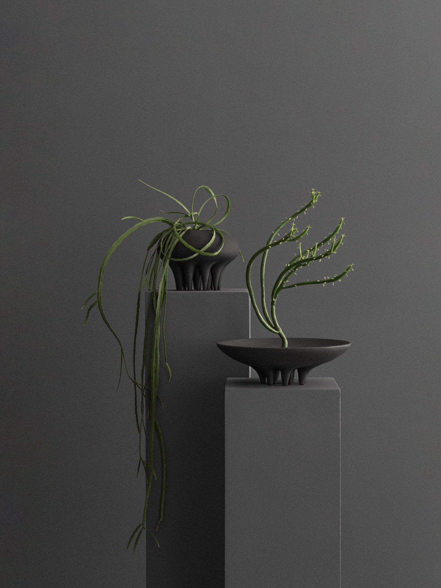 101 CPH Medusa Tray in dark matte ceramic, displaying a unique organic form with sculptural feet, accompanied by another matching planter, styled on grey pedestals. A modern luxury home decor piece.