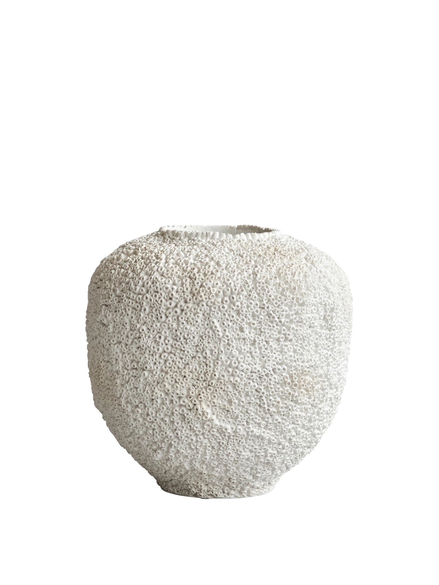 Sunao Planter