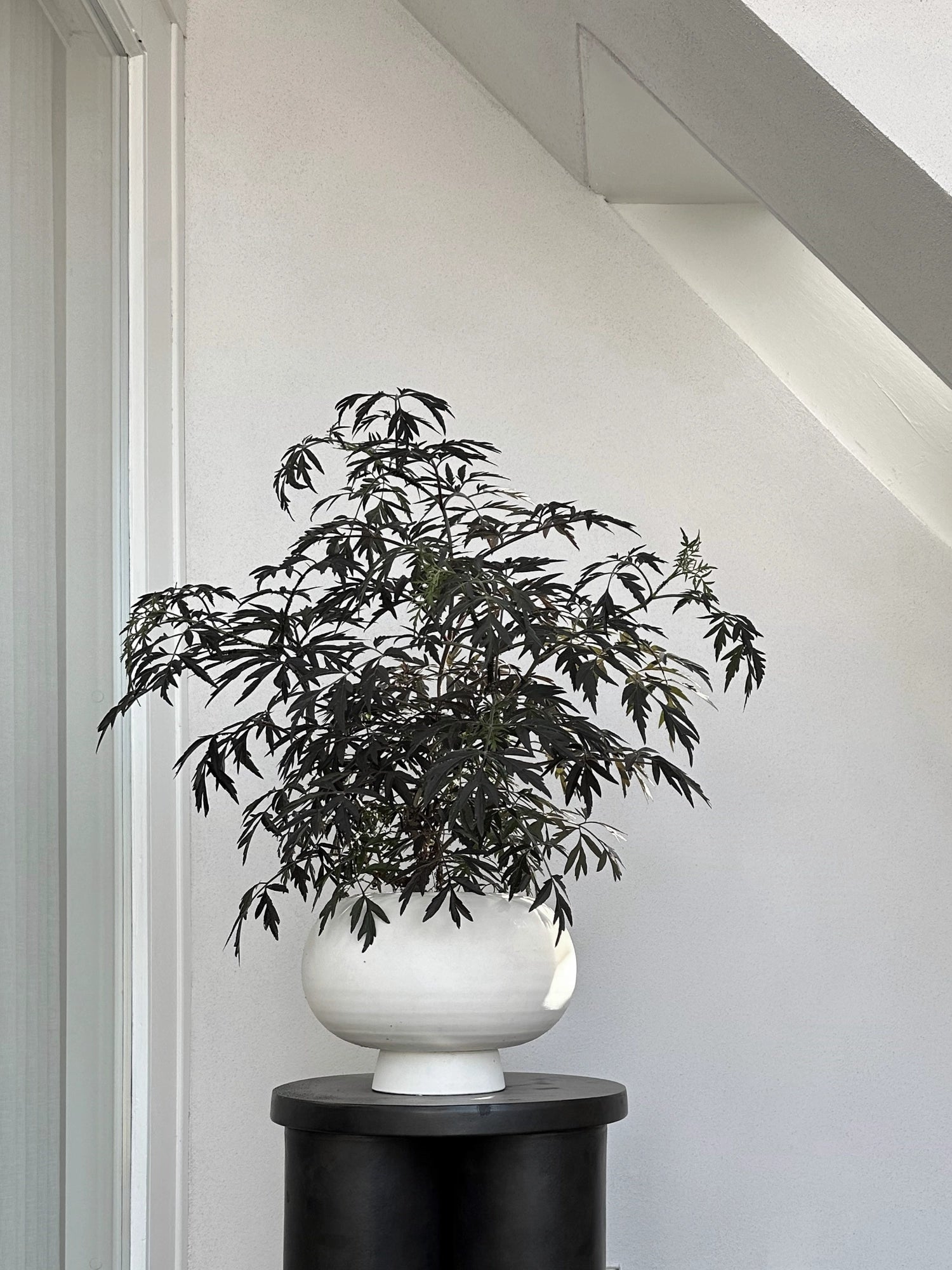 Kabin Vase by 101 CPH - THAT COOL LIVING