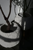 Urchin Planter - THAT COOL LIVING