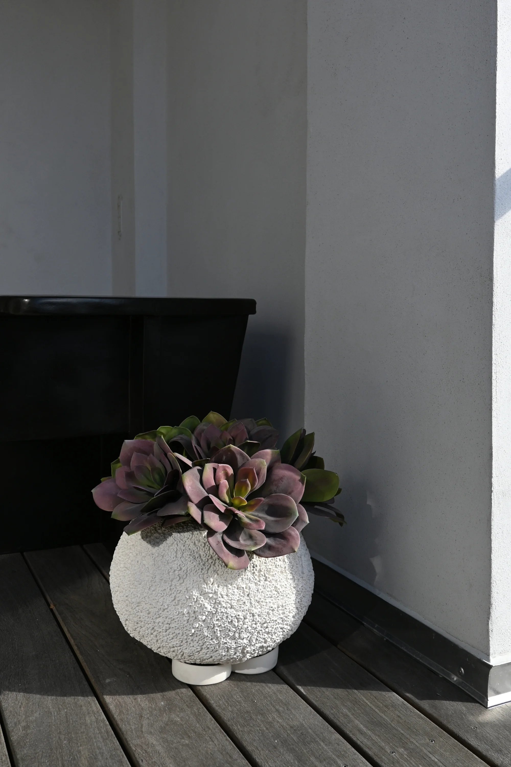 Urchin Planter - THAT COOL LIVING