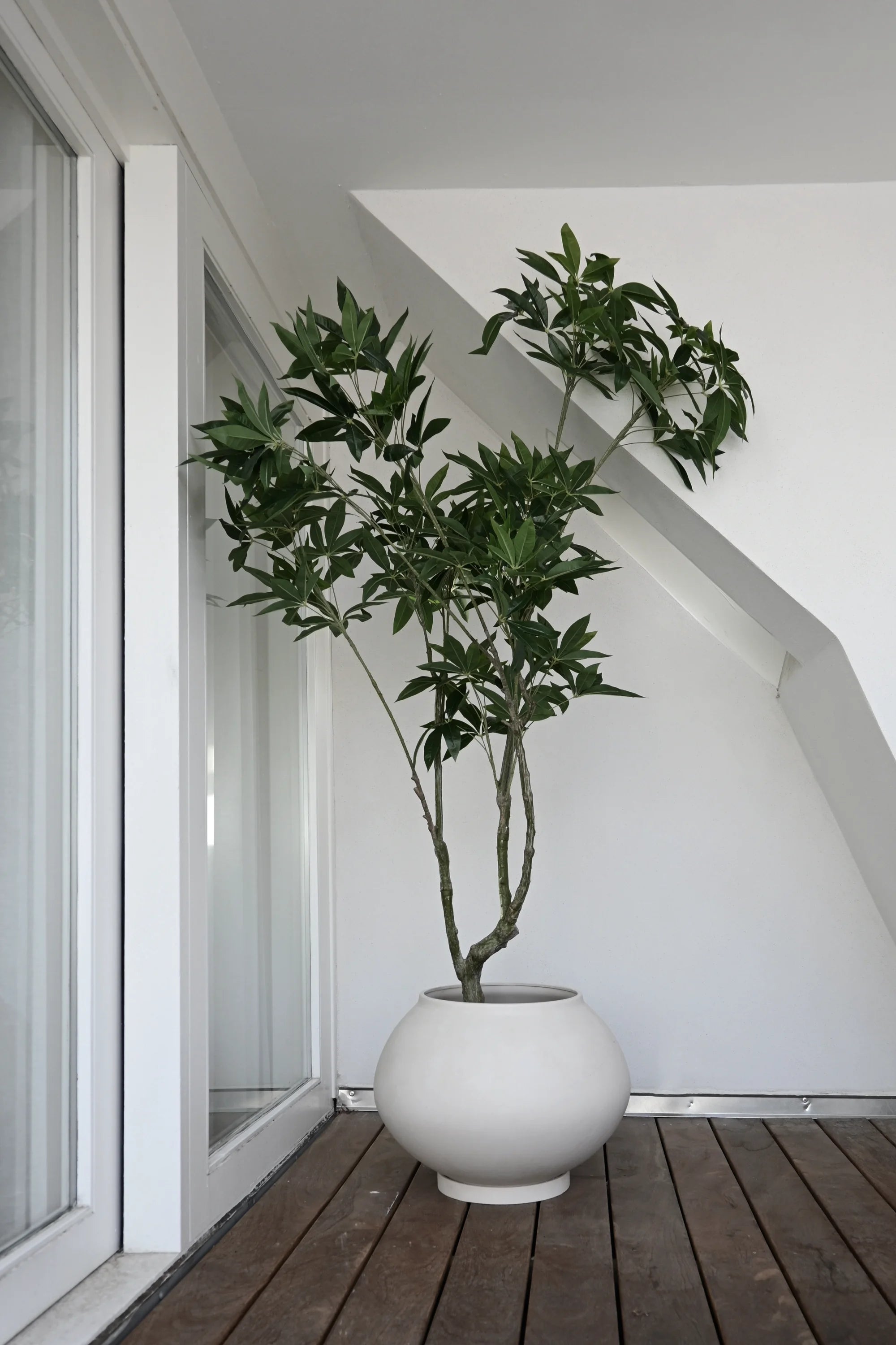 Sunao Planter - Fat - THAT COOL LIVING