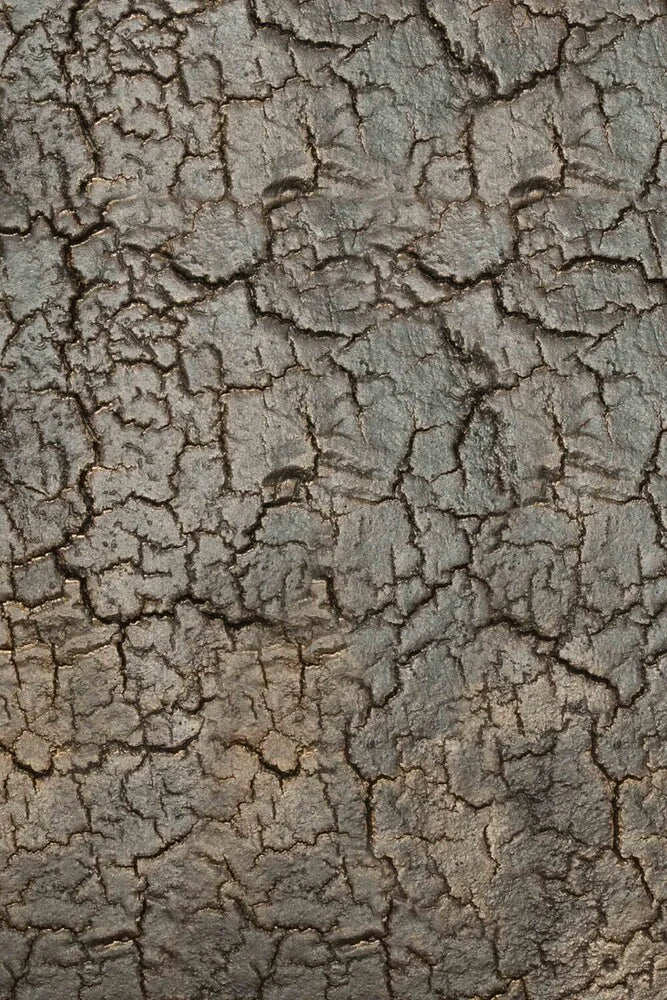 Pentagon Console by Ethnicraft - THAT COOL LIVING