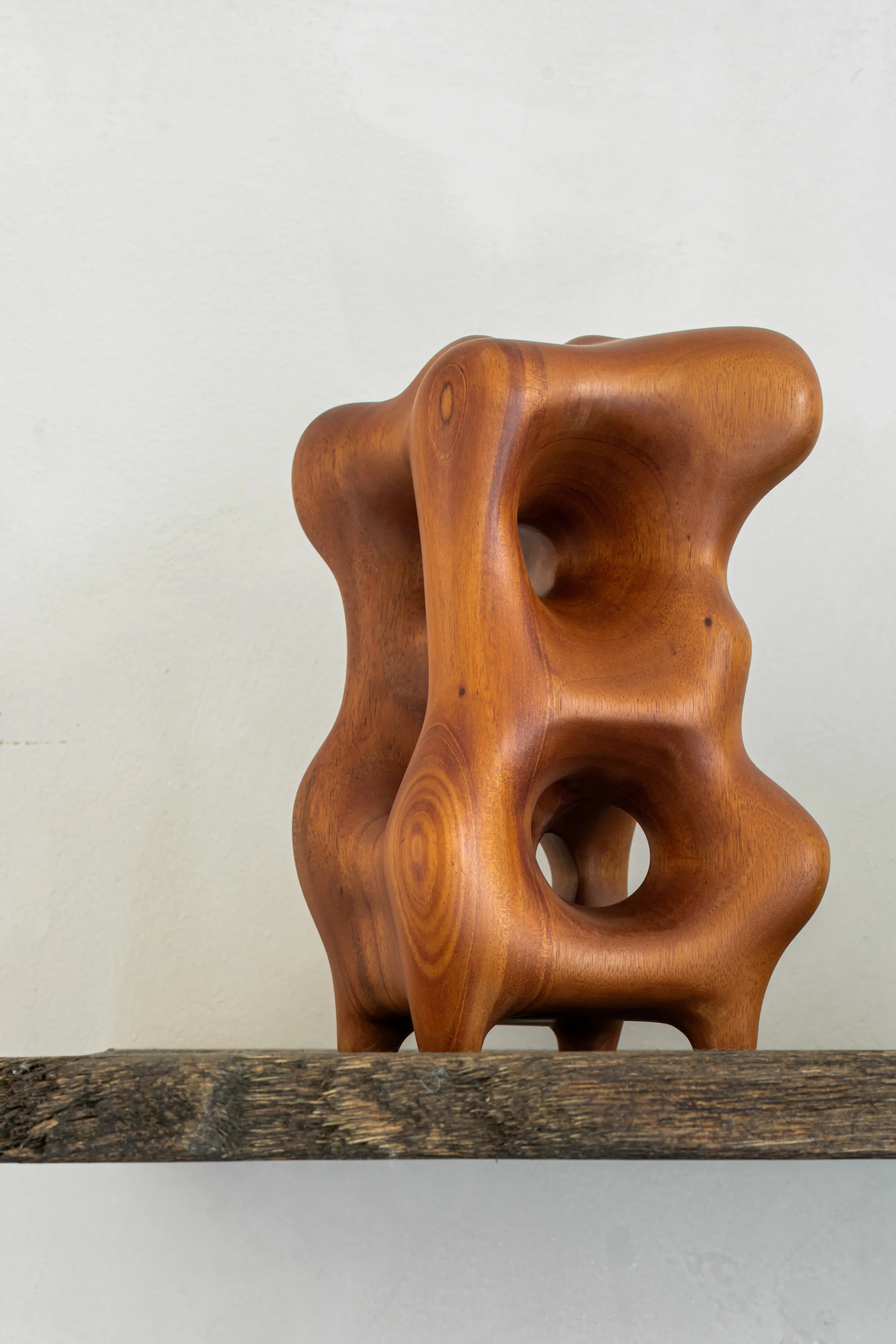 Natural Organic Sculpture