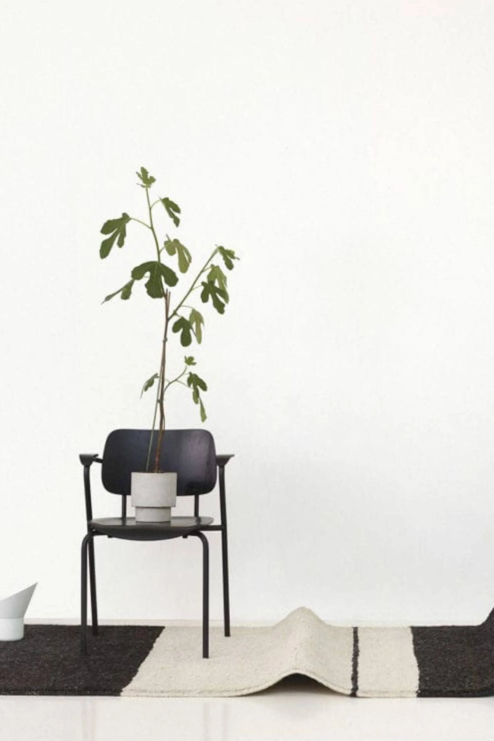 Aava Rug - THAT COOL LIVING