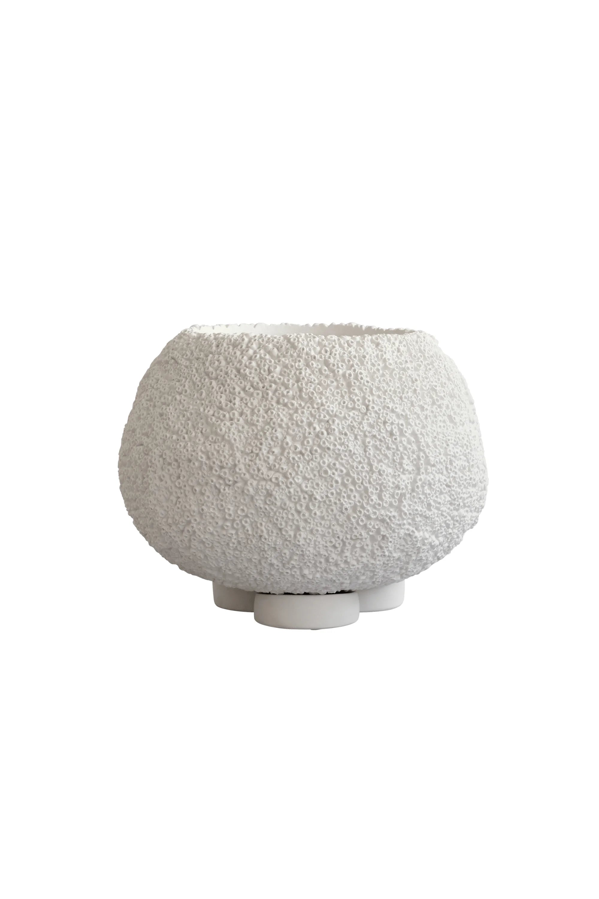 Urchin Planter - THAT COOL LIVING