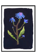 Night Flower - Art Print - THAT COOL LIVING
