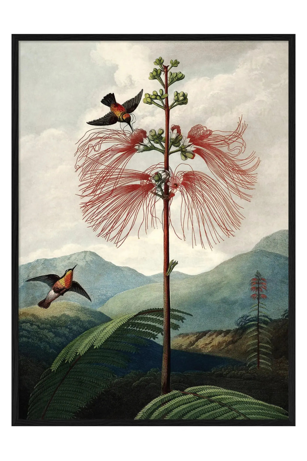 The Tree of Flowers - Art Print - THAT COOL LIVING