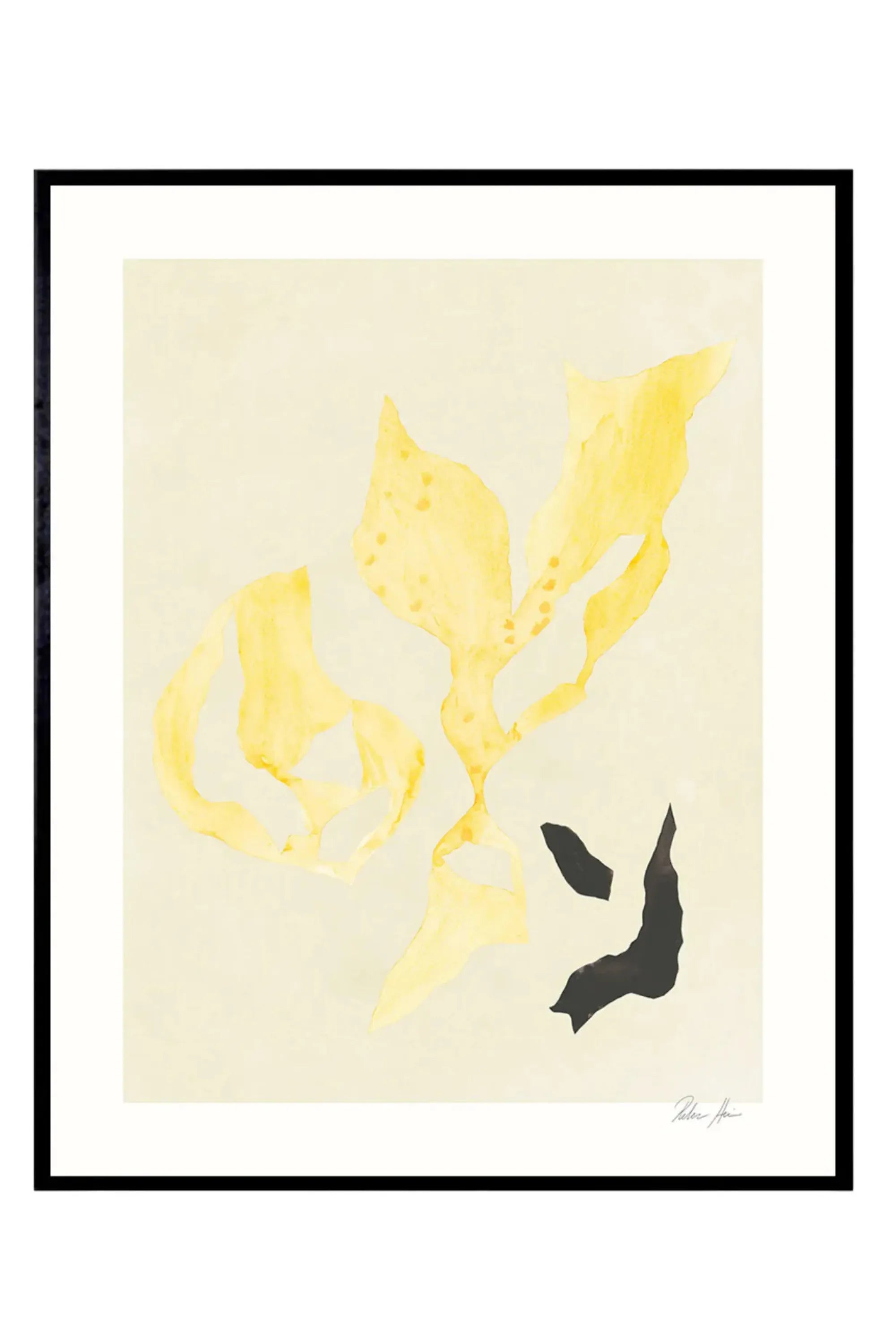 Shadow no. 15