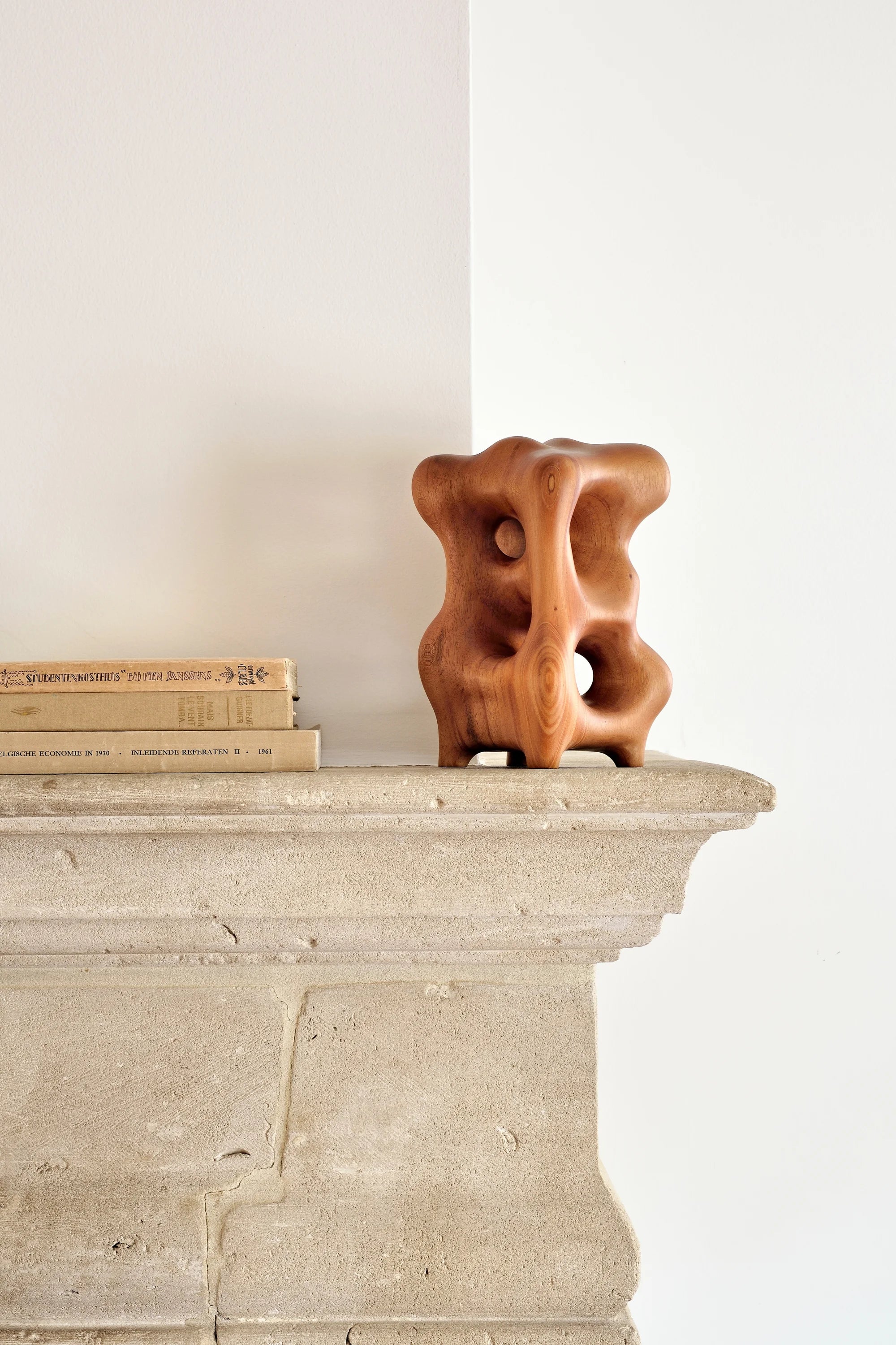 Natural Organic Sculpture