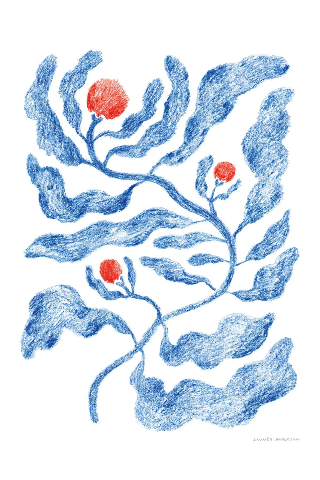 Fruits - Art Print - THAT COOL LIVING