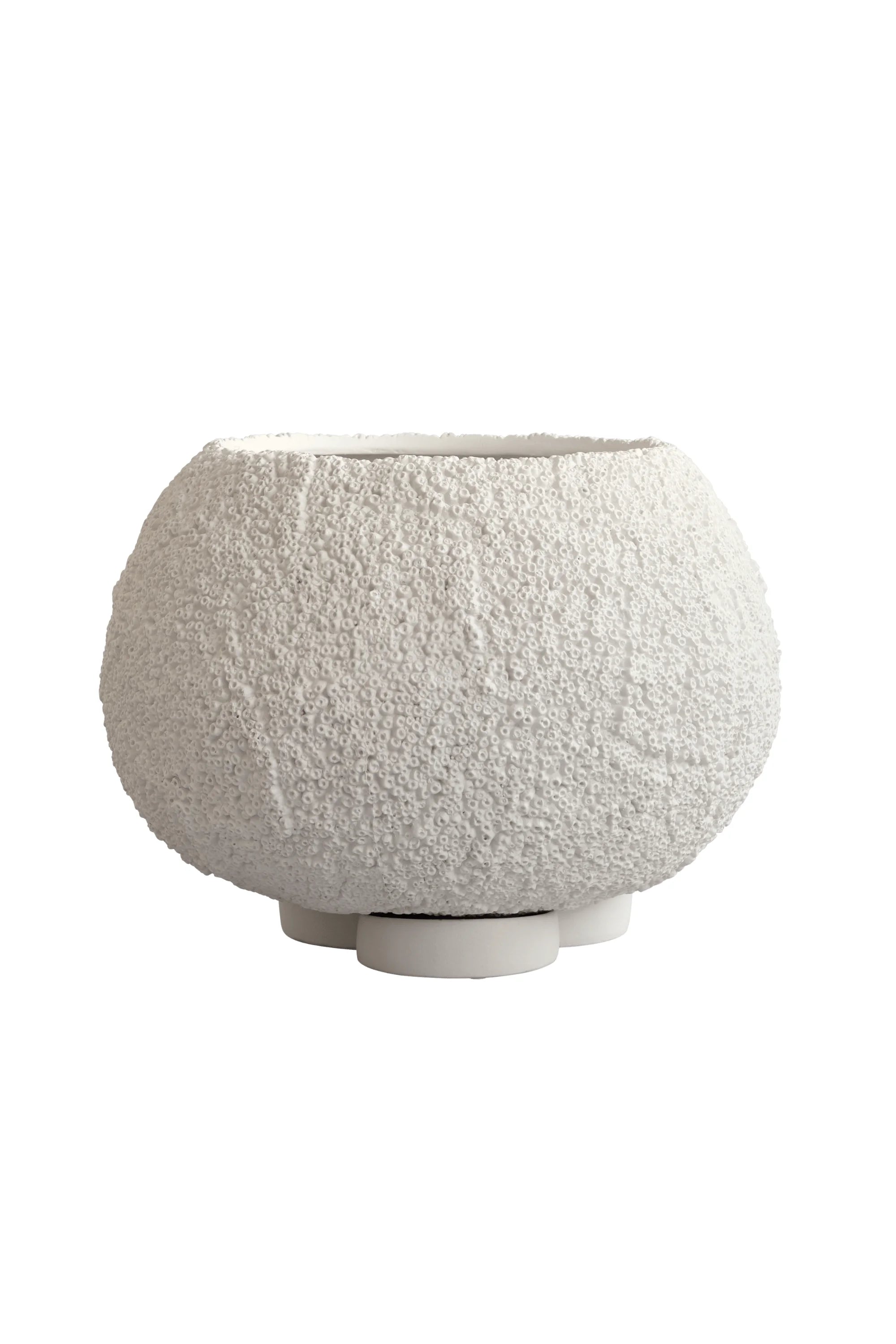 Urchin Planter - THAT COOL LIVING