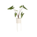 Maki Plant Pot - Tall in matte black finish with sleek design