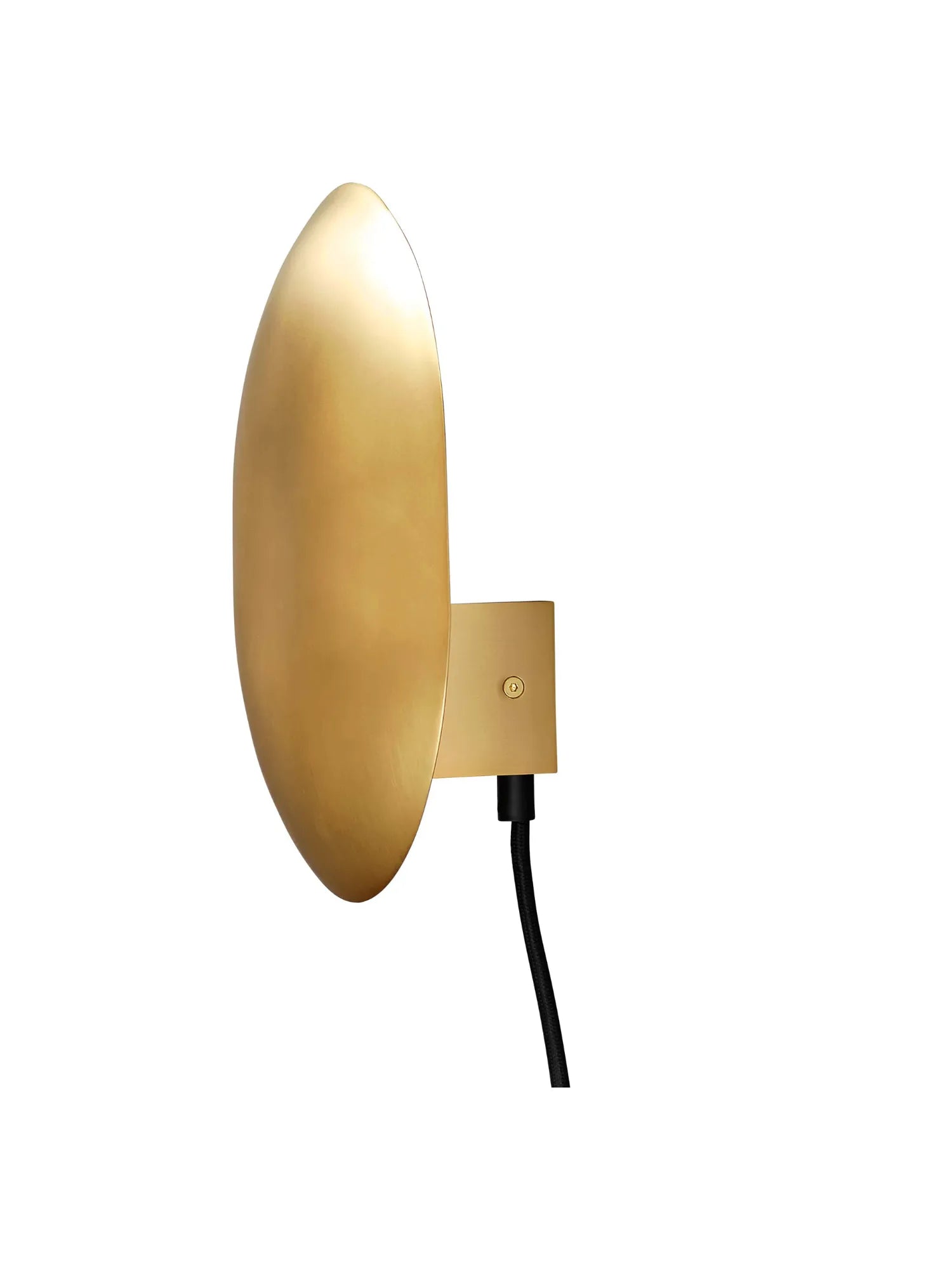 Clam Wall Lamp