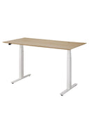 Bok Adjustable Desk - THAT COOL LIVING