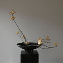 Medusa Tray - Mini - THAT COOL LIVING