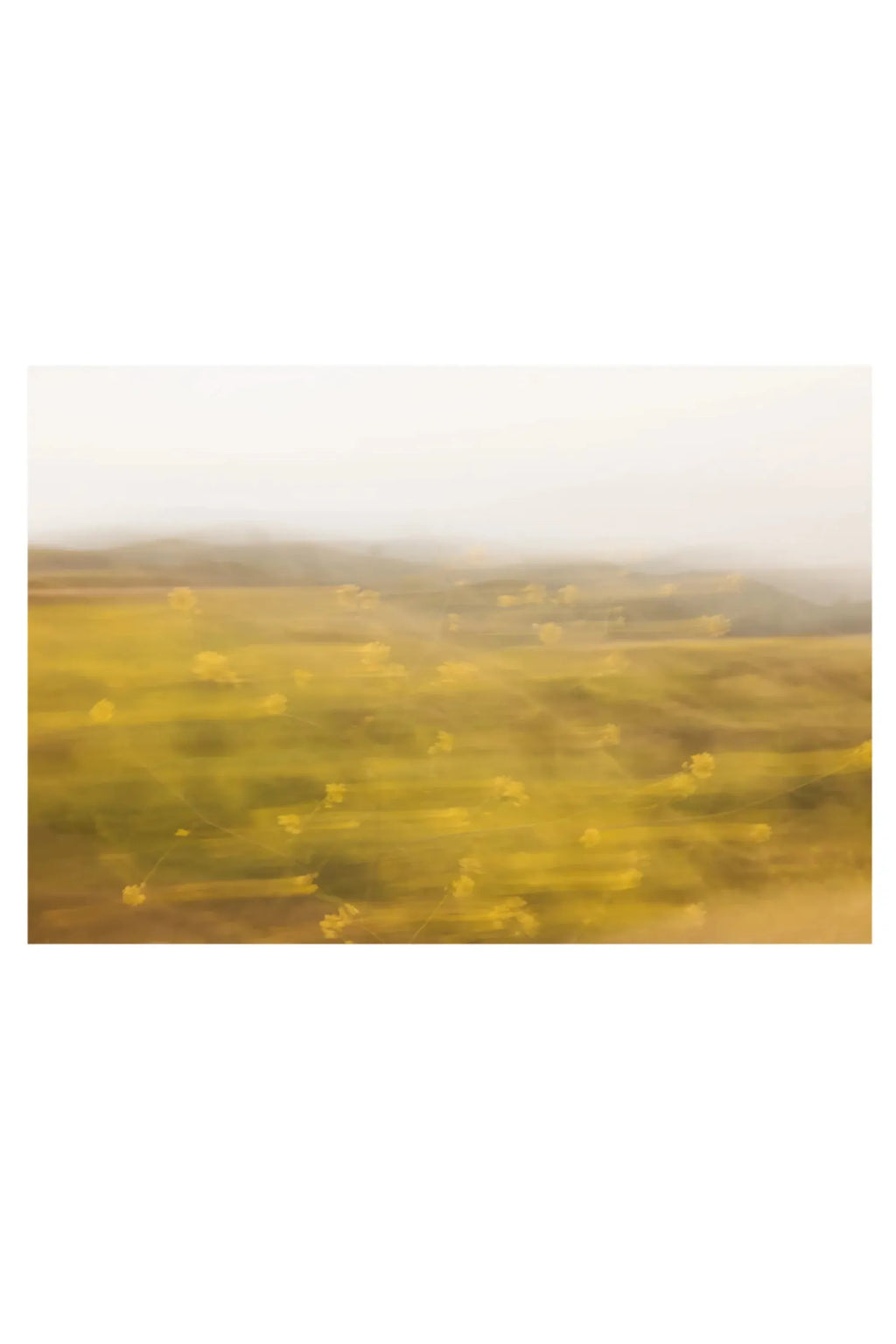 The Poster Club Golden, an ethereal abstract landscape art print featuring a soft focus golden yellow field with subtle hints of earthy greens and browns, transitioning into a hazy, light grey sky. This impressionistic nature poster creates a calming focal point for organic modern living rooms, minimalist bedrooms, or serene gallery walls.