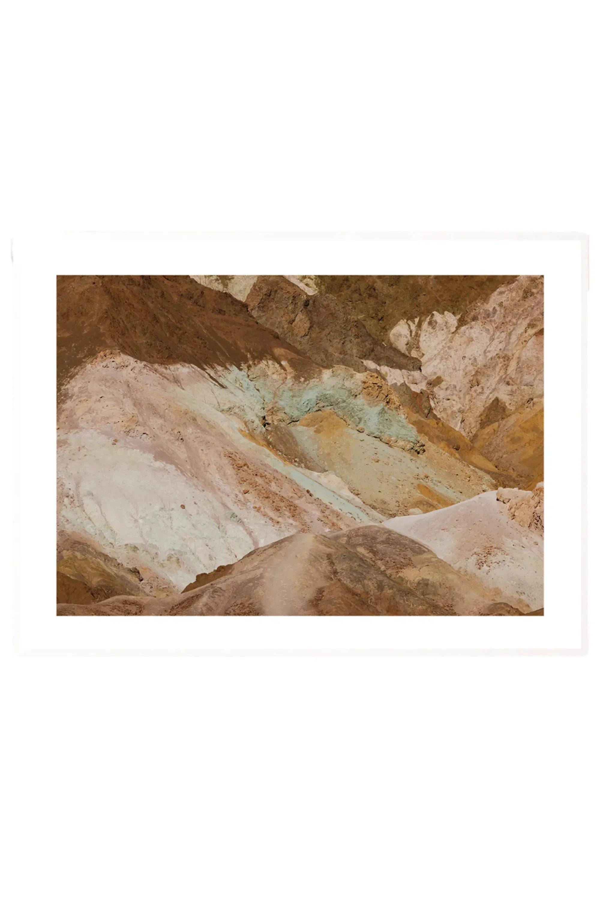 Earth’s Palette - THAT COOL LIVING