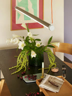 Interplay Pendant Light