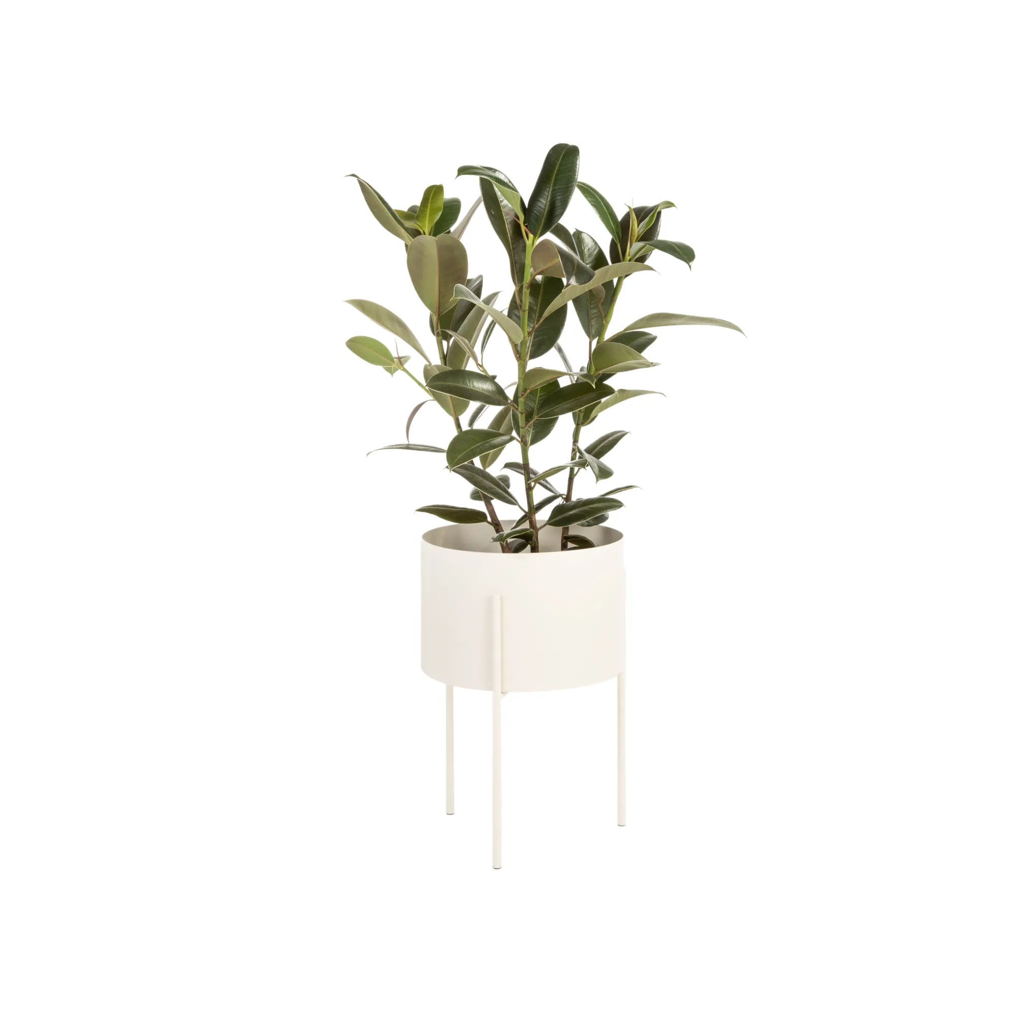 scandinavian plant pots Maki Wide Vulcano Black Plant Pot by noo.ma Durable Powder Coated Steel Minimal Design for Indoor Plants