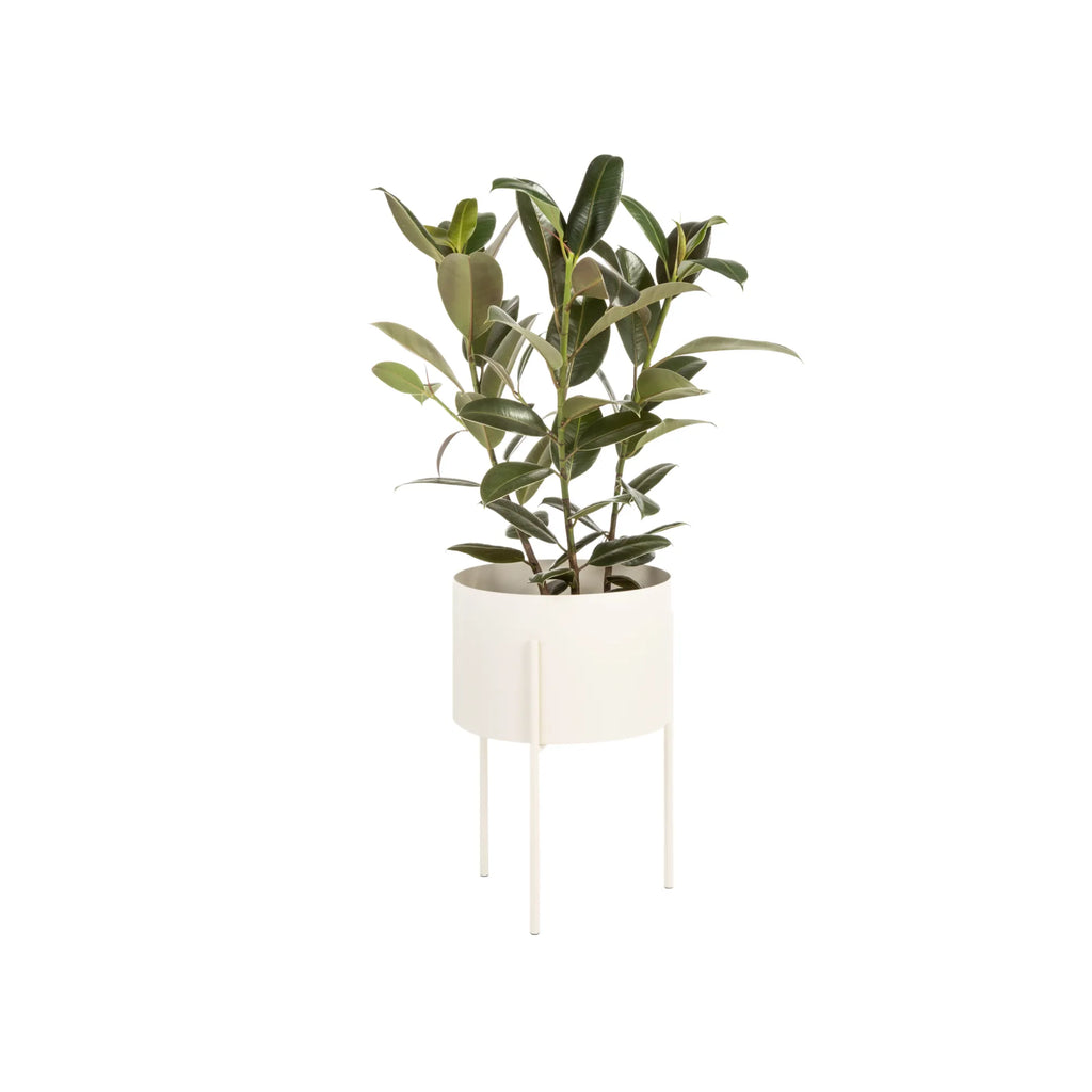 Large and spacious Maki Plant Pot - Wide, perfect for various plants