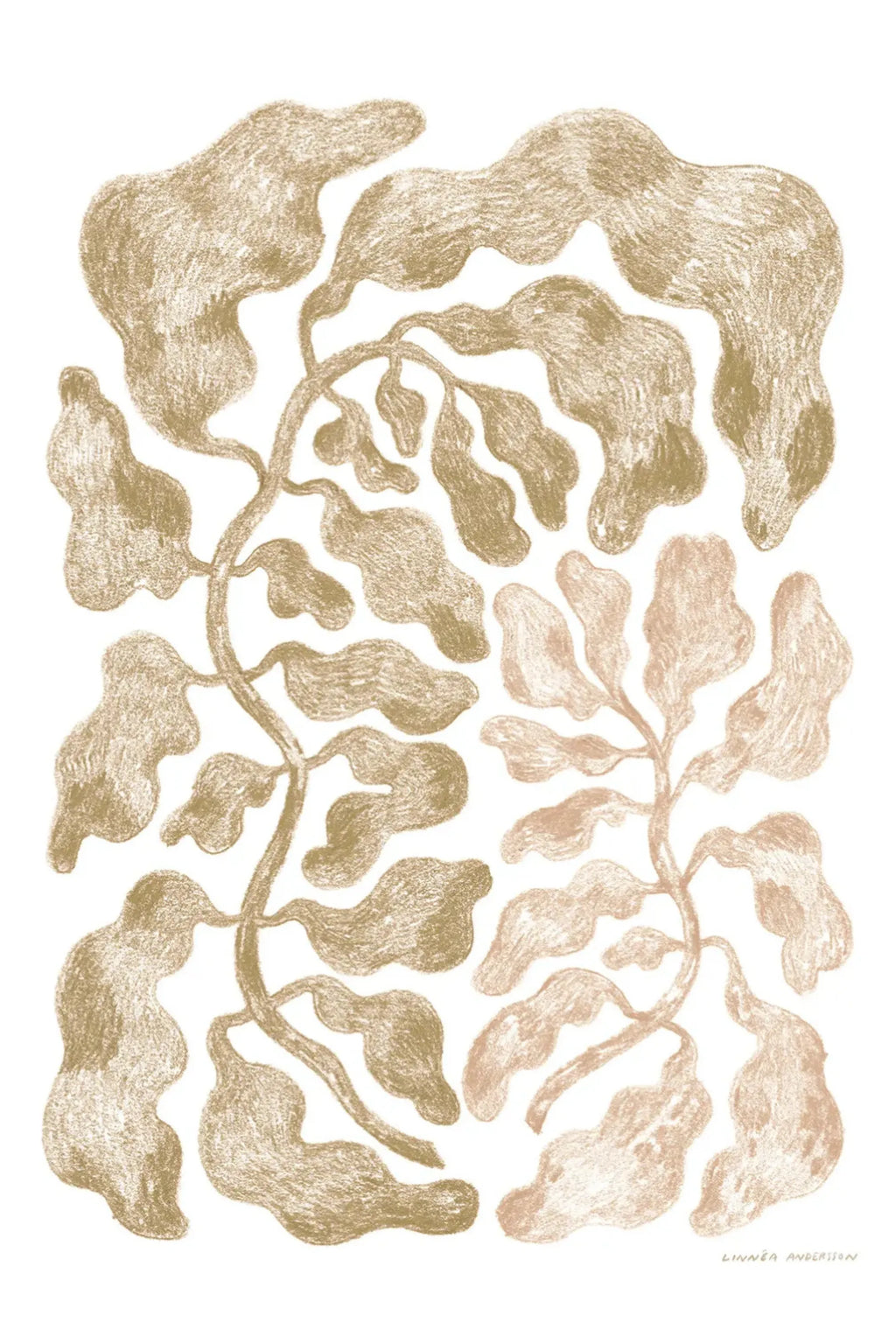 The Two - THAT COOL LIVING