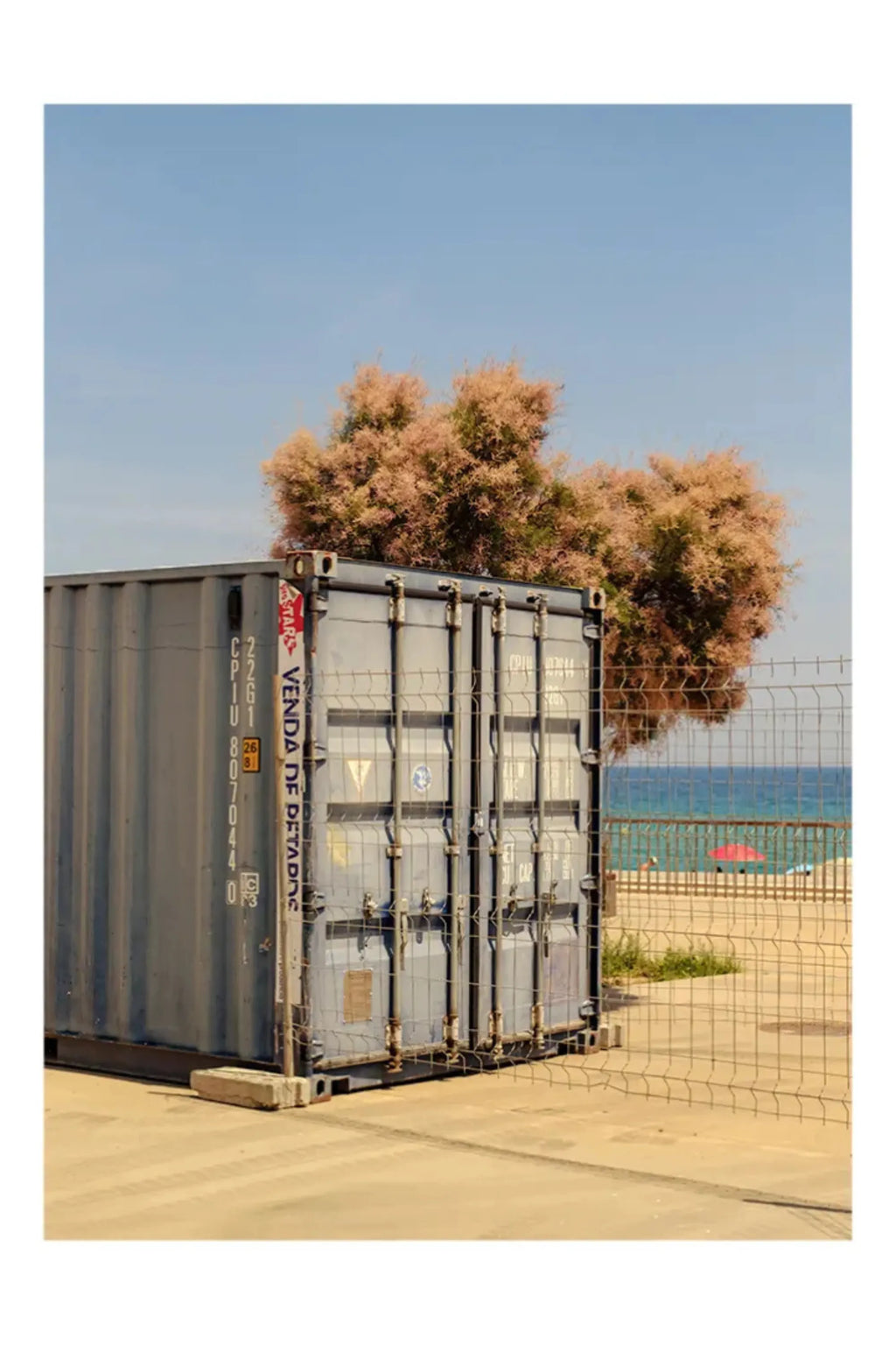 The Hidden Tree - Art Print - THAT COOL LIVING