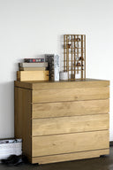 Burger Dresser