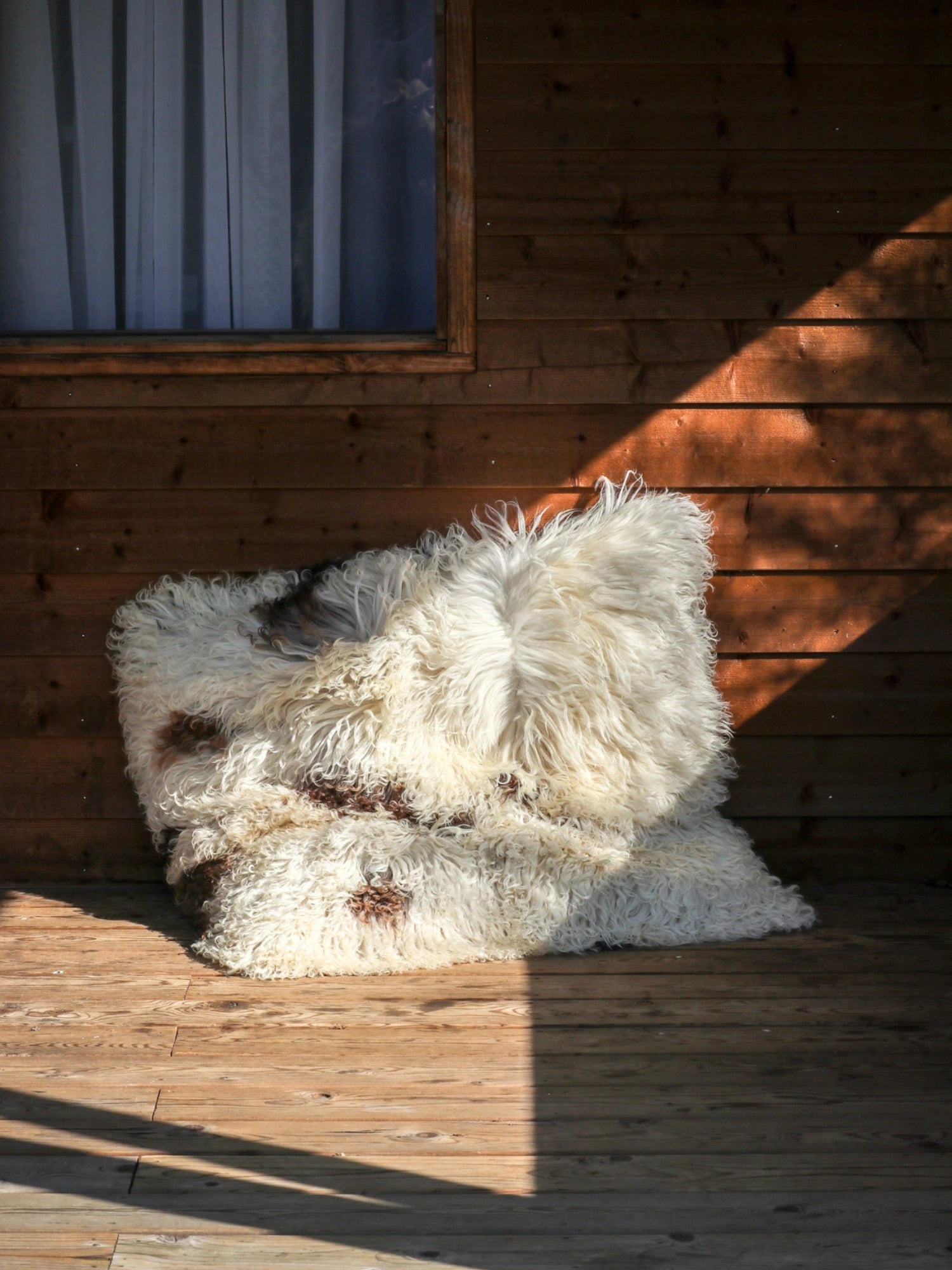 Curly Sheepskin Floor Pillow by TCL Selects - THAT COOL LIVING