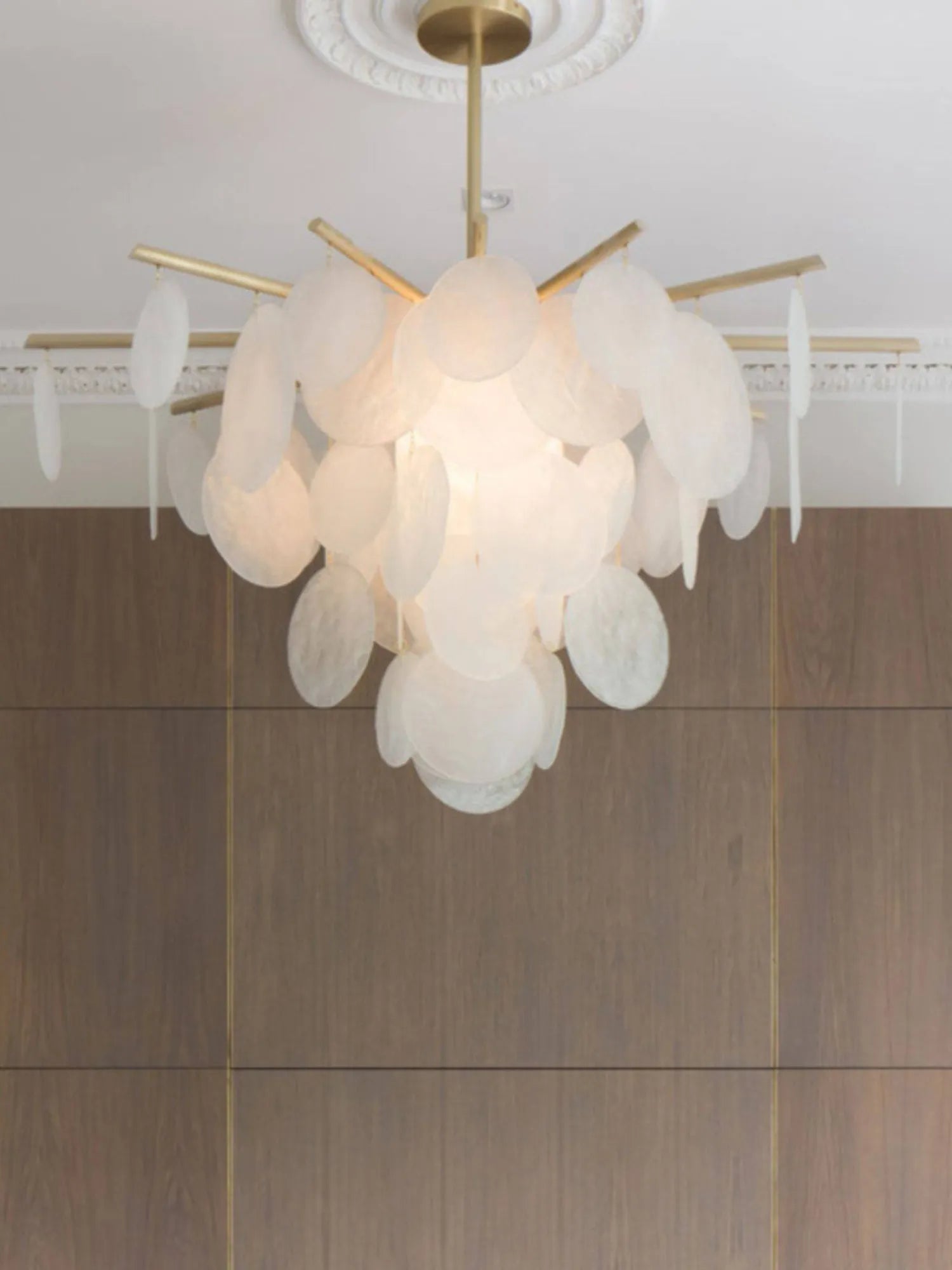 Nimbus Pendant Chandelier