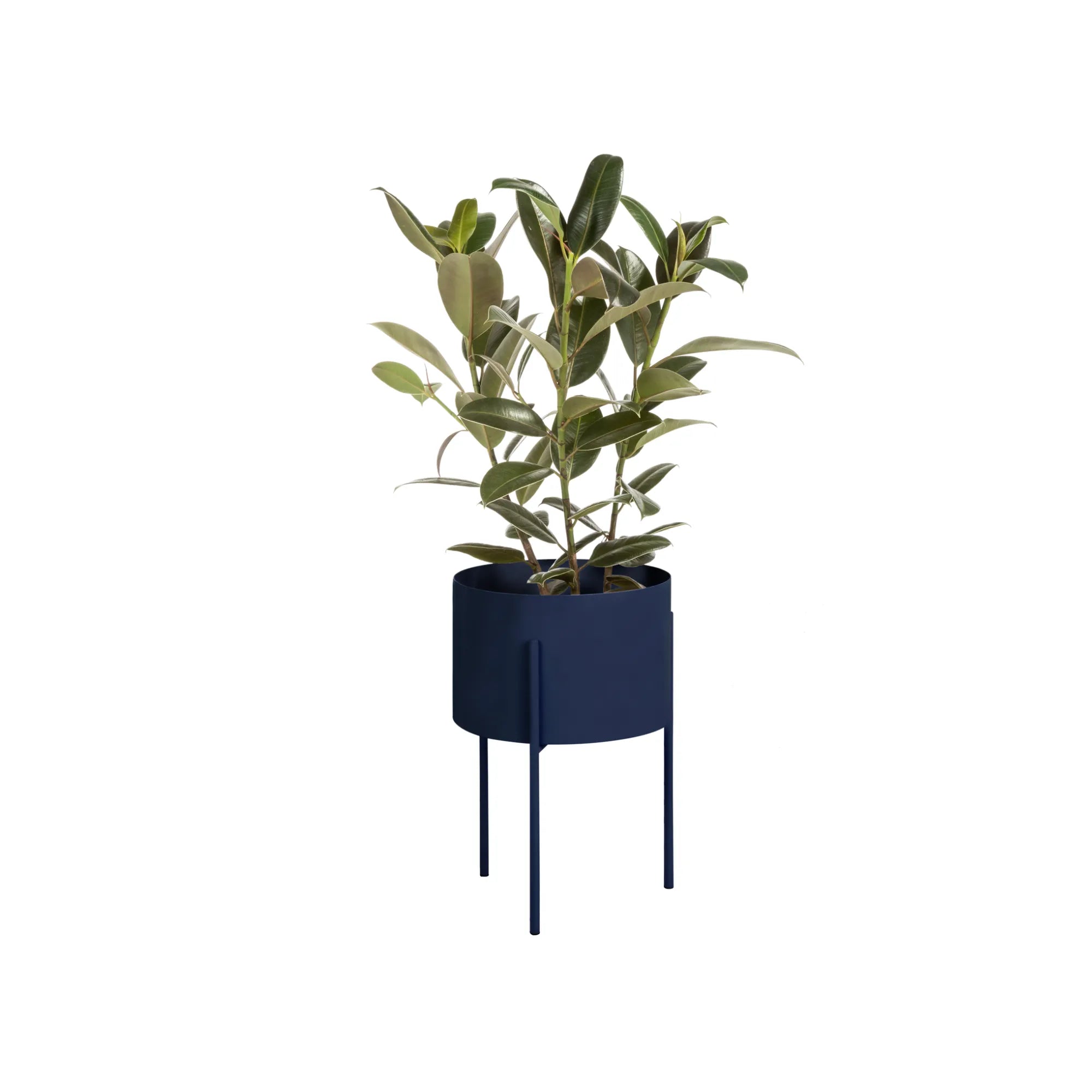 contemporary plant pots indoor Maki Wide Vulcano Black Plant Pot by noo.ma Durable Powder Coated Steel Minimal Design for Indoor Plants