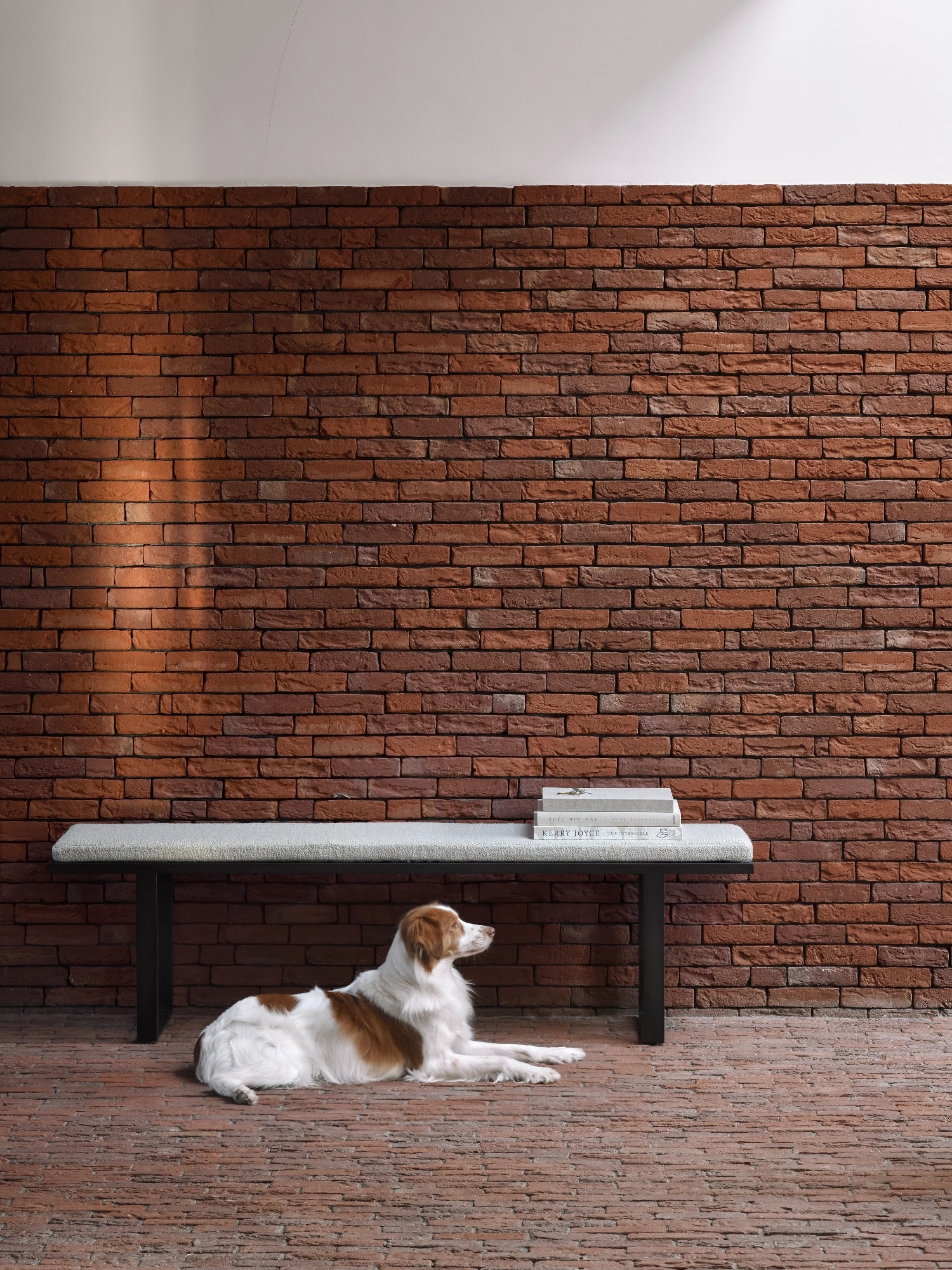 Ethnicraft Stability Bench, a modern minimalist upholstered bench featuring a light grey textured fabric top, possibly bouclé, set upon sleek matte black metal legs with a rectangular profile. This contemporary accent bench is perfect for an entryway, hallway, or as a stylish end-of-bed bench in a modern bedroom.