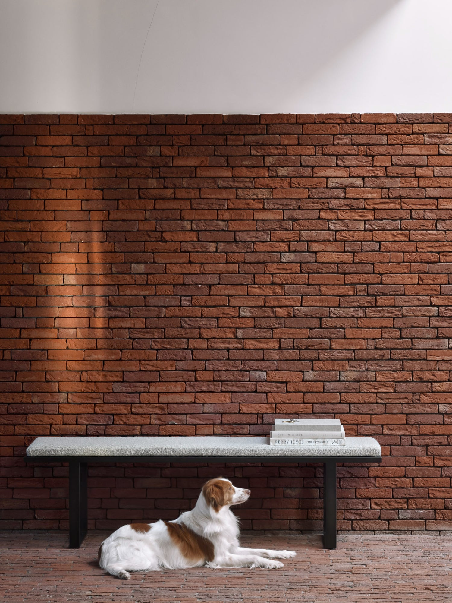 Stability Bench by Ethnicraft - THAT COOL LIVING