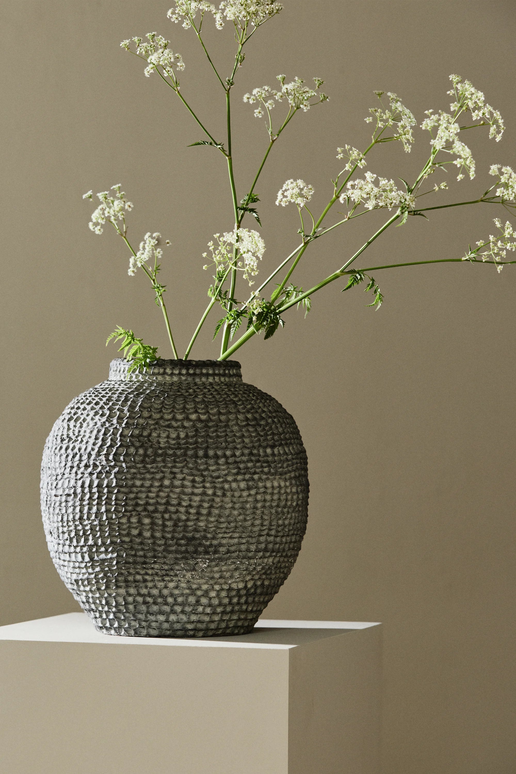 Rupa Planter